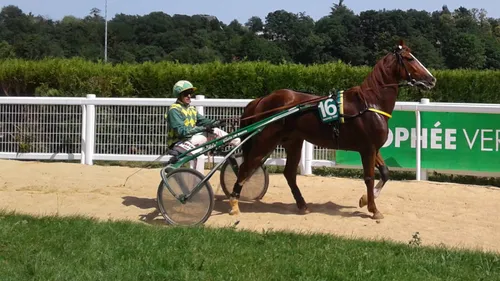 Hippisme : nos préférés pour ce dimanche 28 mai